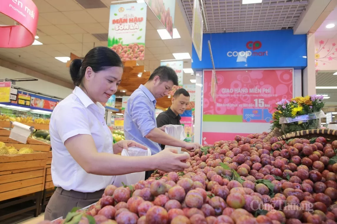 'Mở đường' cho nông sản vùng cao: Bộ Công Thương hành động quyết liệt