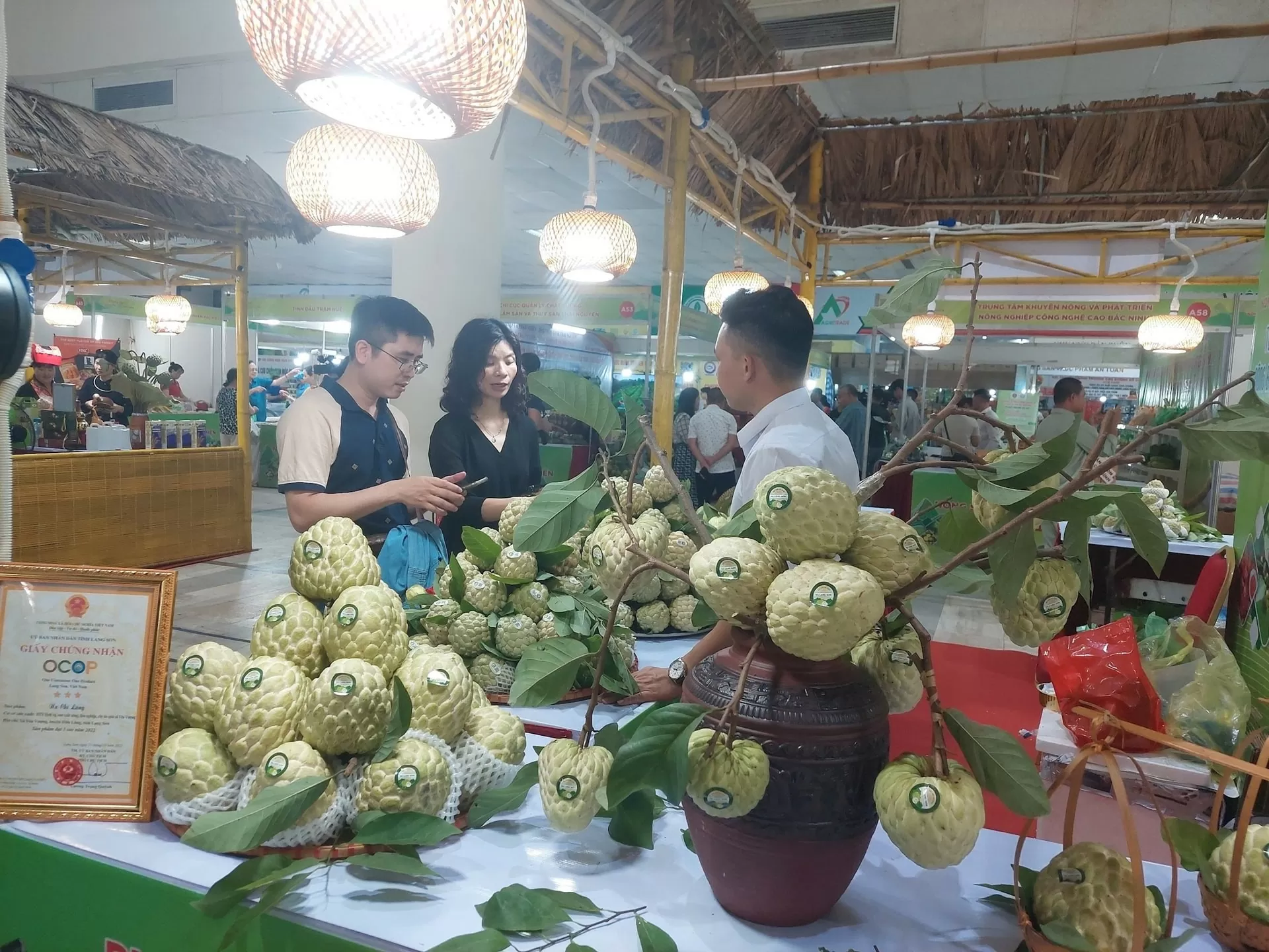 'Mở đường' cho nông sản vùng cao: Bộ Công Thương hành động quyết liệt